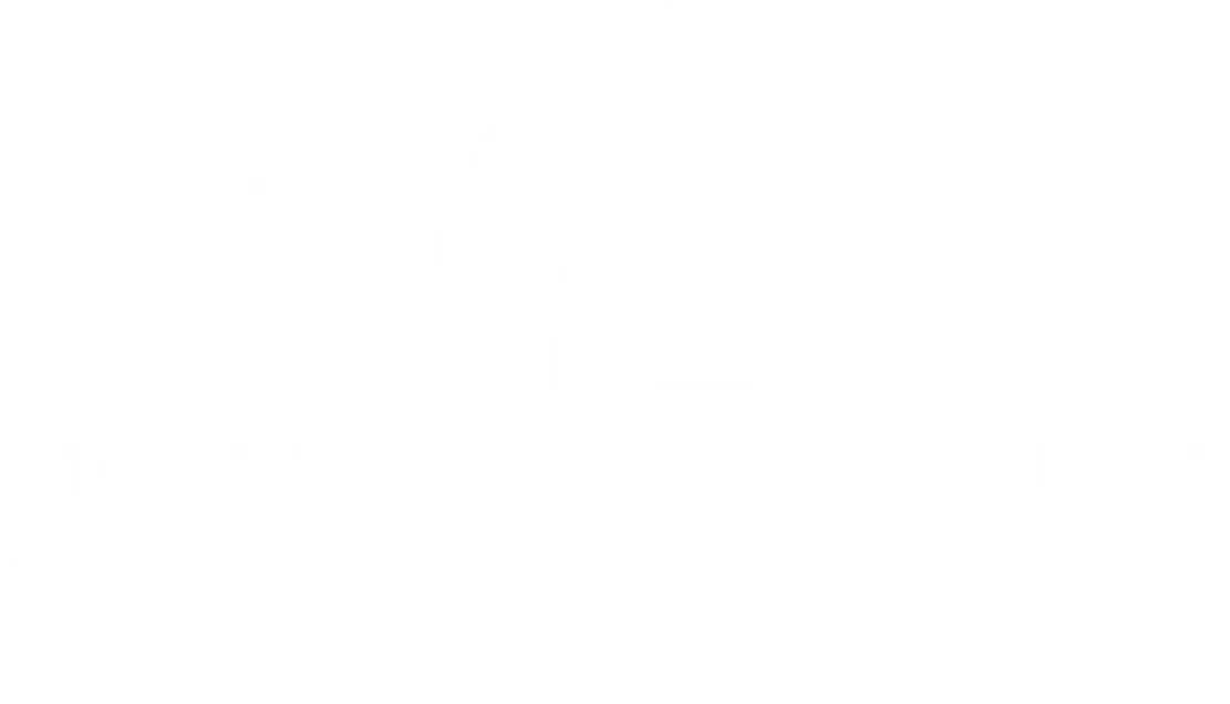 Logo 30