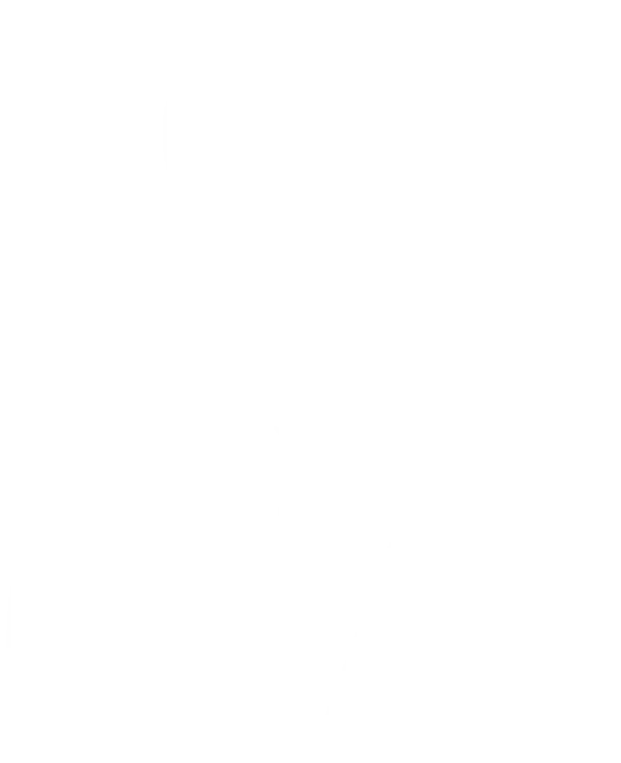 Protección Ejecutiva